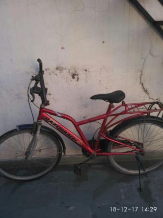 razorback cycle blue
