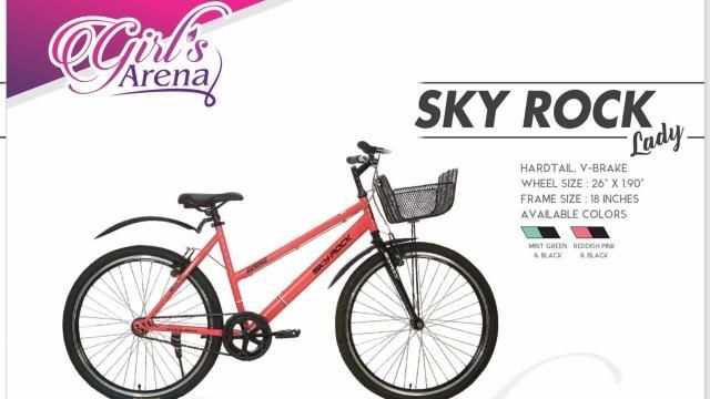 sk bikes skyrock price