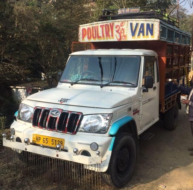 old mahindra bolero pickup